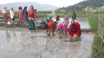 असारे भाका जोगाउन साहित्यिक प्रस्तुति